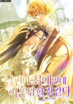 Chồng Tôi Là Bias Số Một, Nhưng Có Vẻ Chúng Tôi Sắp Ly Hôn