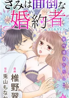 Kimi wa mendou na fiancee