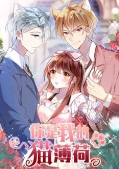 Em là bạc hà mèo của tôi