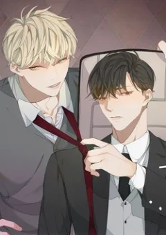 Xúc bất khả cập