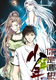 Thiếu Niên Huynh Là Loại Cỏ Gì