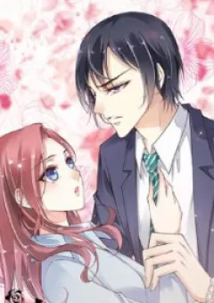 Nữ Nhân Xin Nhẹ Nhàng