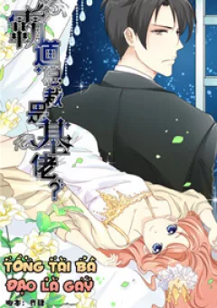 Tổng Tài Bá Đạo Là Gay