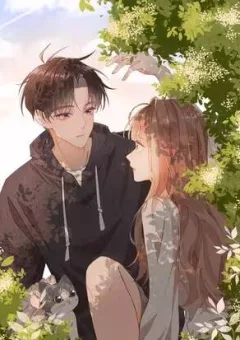 Chị Gái Lại Toang Nữa Rồi