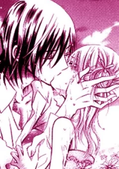 Marguerite - Hoa tình yêu