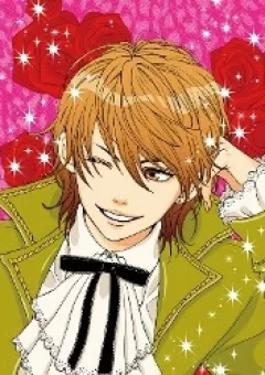 Tokimeki gakuen oujigumi