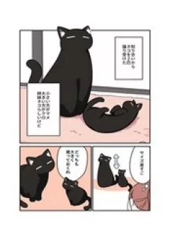 Kuroneko No Ohanashi