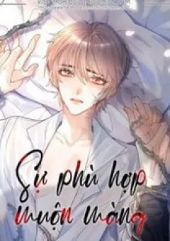 Sự Phù Hợp Muộn Màng