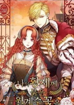 Hoa Nguyệt Quế Đỏ Tặng Hoàng Đế Của Tôi