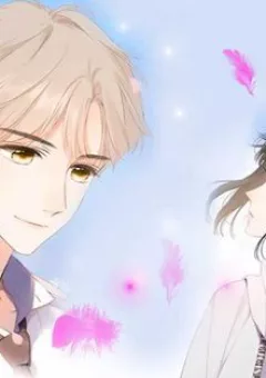 Lại Gặp Được Em